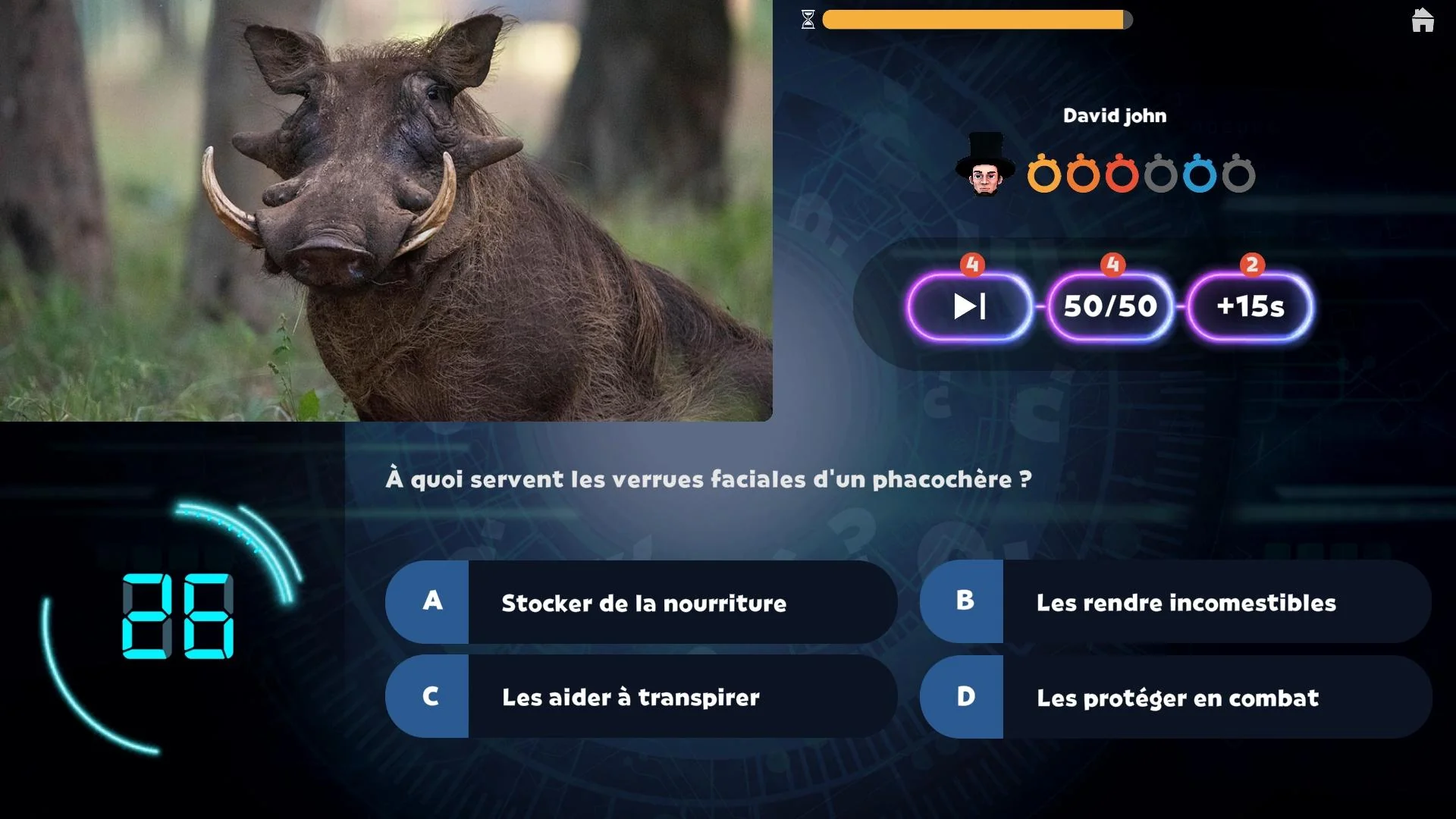 Au zoo - Image 3